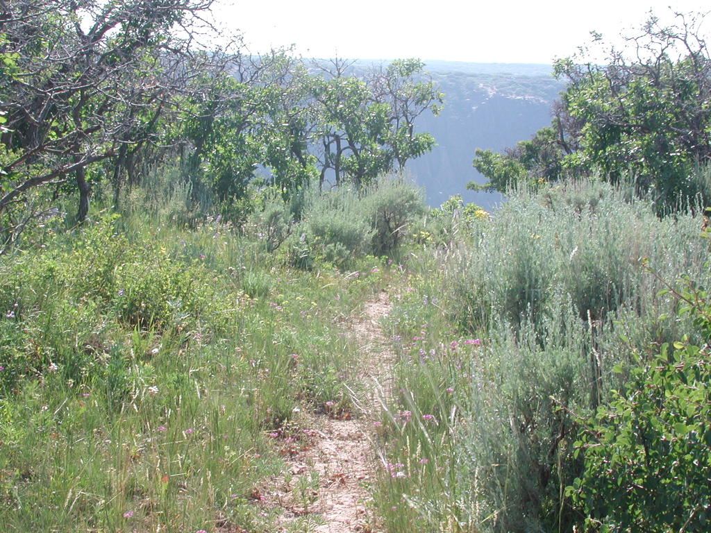 DSCN0052.JPG