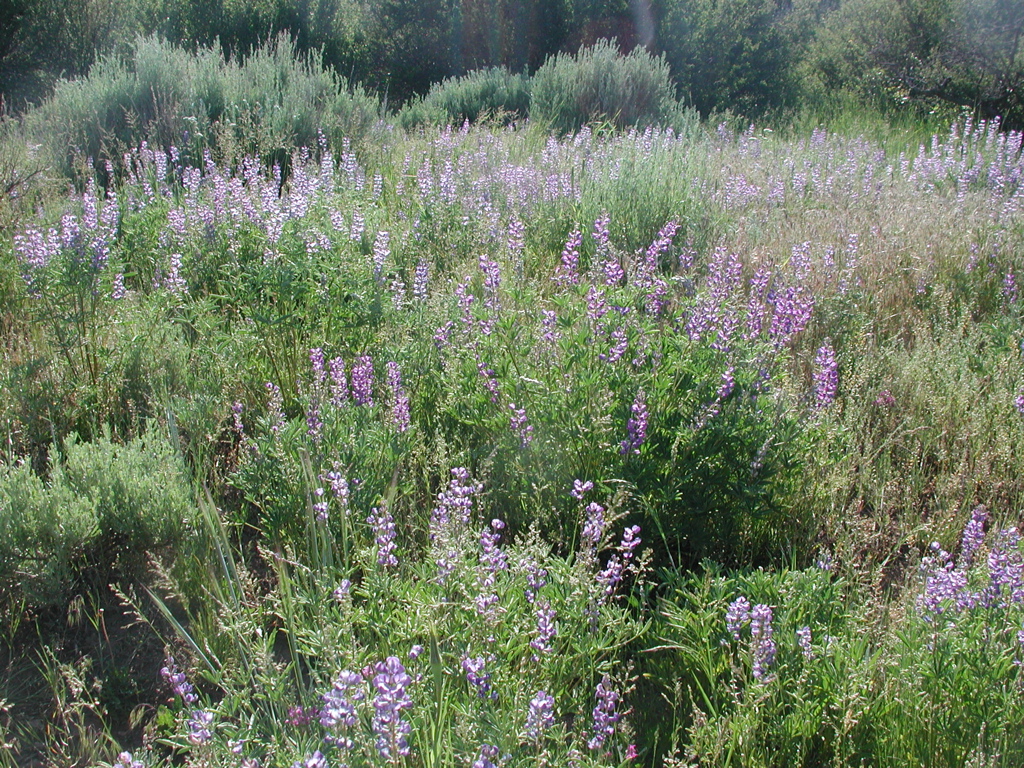 DSCN0061.JPG