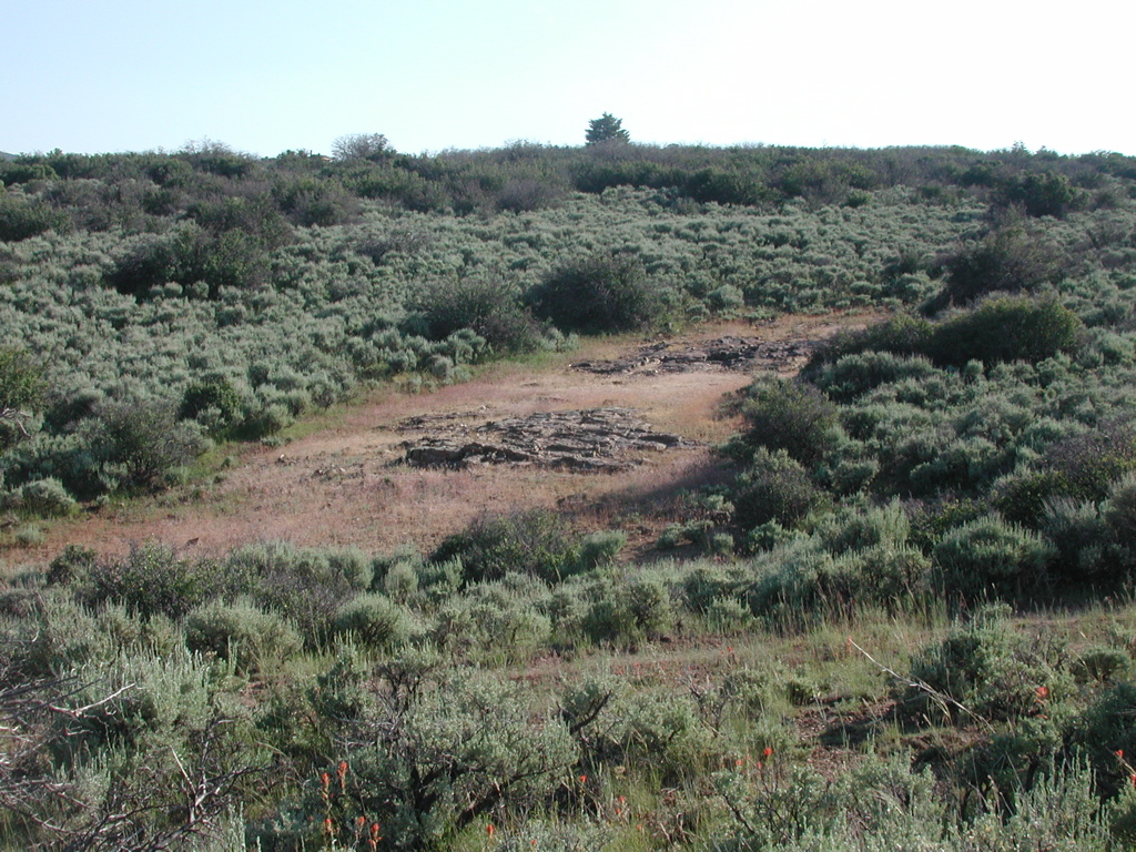 DSCN0070.JPG