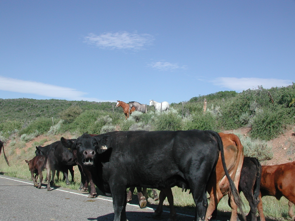 DSCN0091.JPG