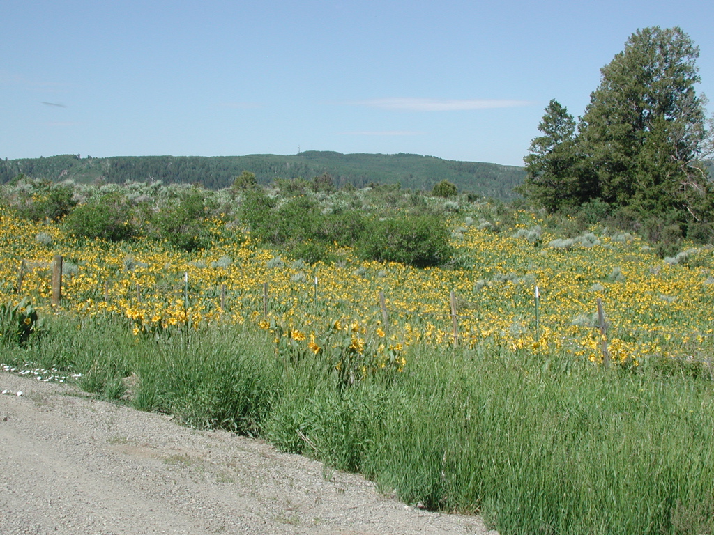 DSCN0092.JPG
