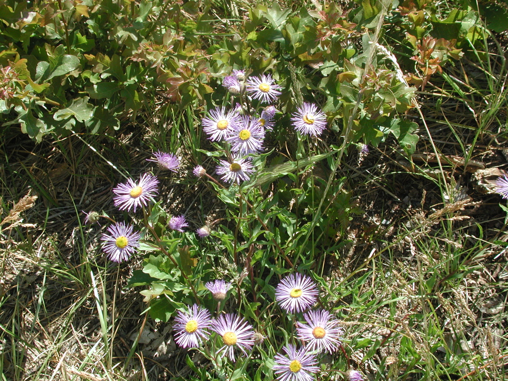DSCN0119.JPG