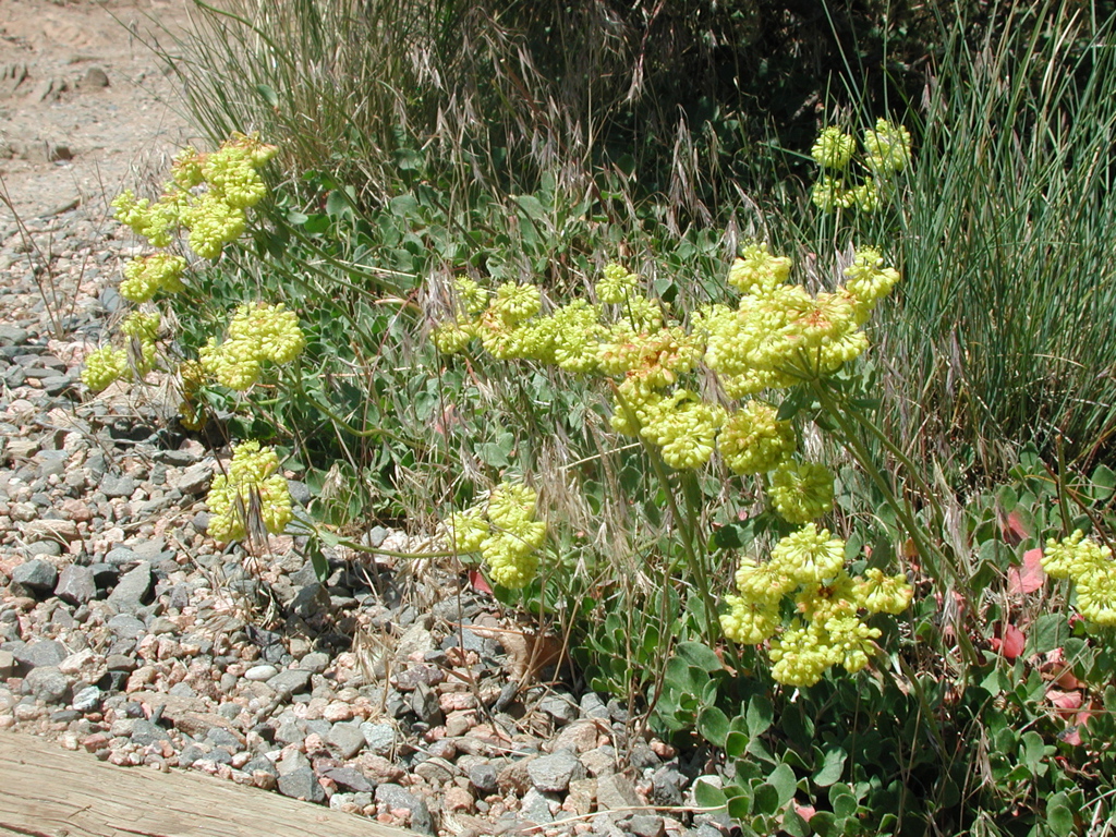 DSCN0128.JPG