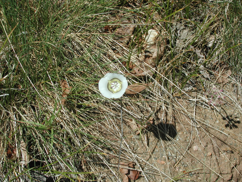 DSCN0135.JPG