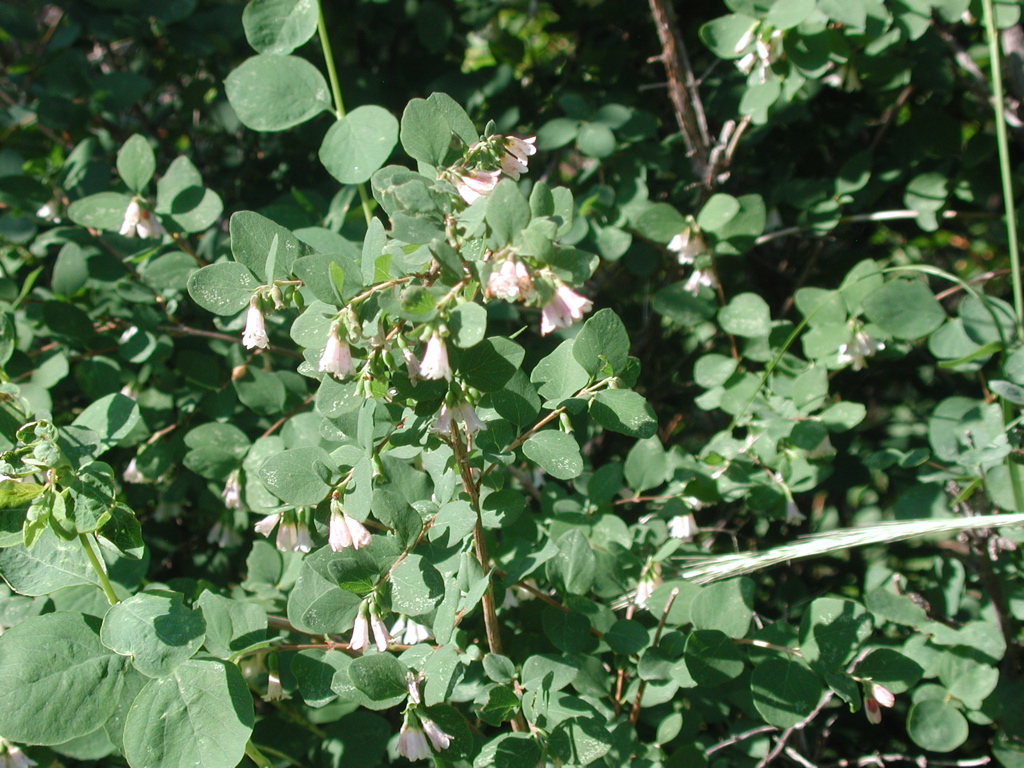 DSCN0170.JPG