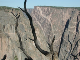 DSCN0005.JPG