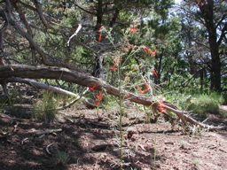 DSCN0031.JPG