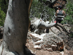 DSCN0035.JPG