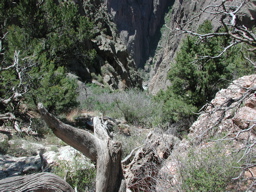 DSCN0036.JPG