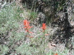 DSCN0043.JPG