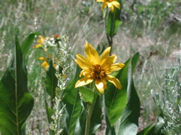 DSCN0044.JPG
