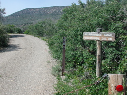 DSCN0046.JPG