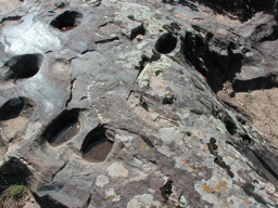 DSCN0051.JPG