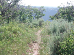 DSCN0052.JPG