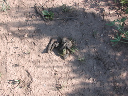DSCN0062.JPG