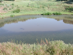 DSCN0067.JPG