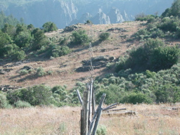 DSCN0069.JPG