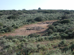 DSCN0070.JPG