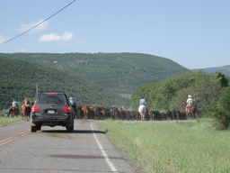 DSCN0090.JPG