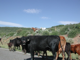 DSCN0091.JPG