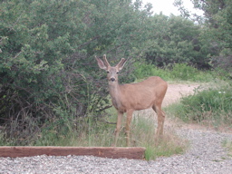 DSCN0100.JPG