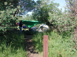 DSCN0105.JPG