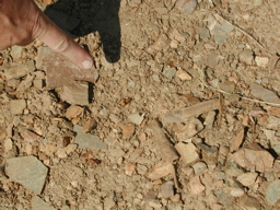 DSCN0108.JPG