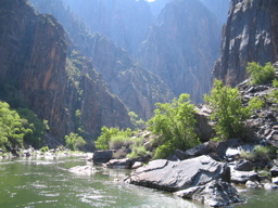 IMG_0747.JPG