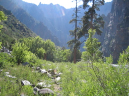 IMG_0752.JPG