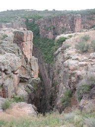DSCN9990.JPG
