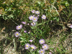 DSCN0119.JPG