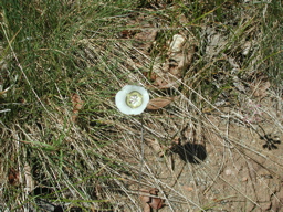 DSCN0135.JPG