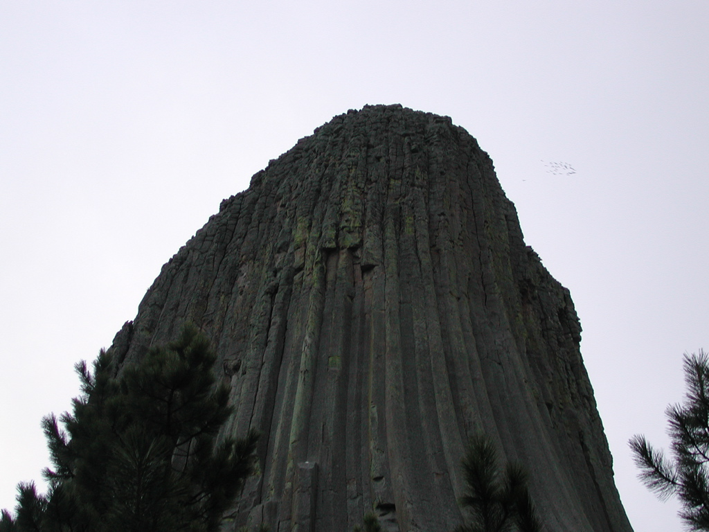 DSCN4009