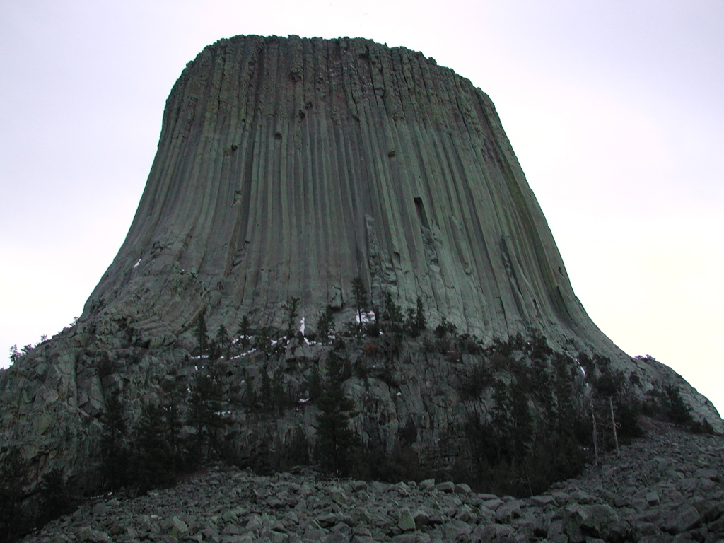 DSCN4019