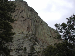 DSCN3990