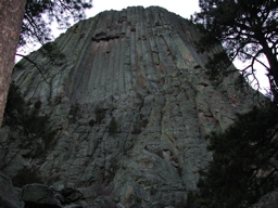 DSCN4006