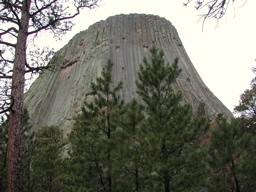 DSCN4003