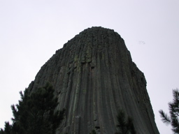 DSCN4009