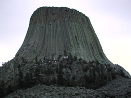 DSCN4019