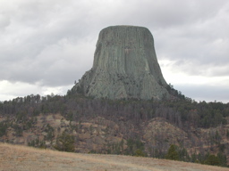 DSCN3971