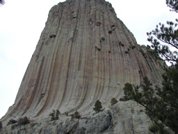 DSCN3987