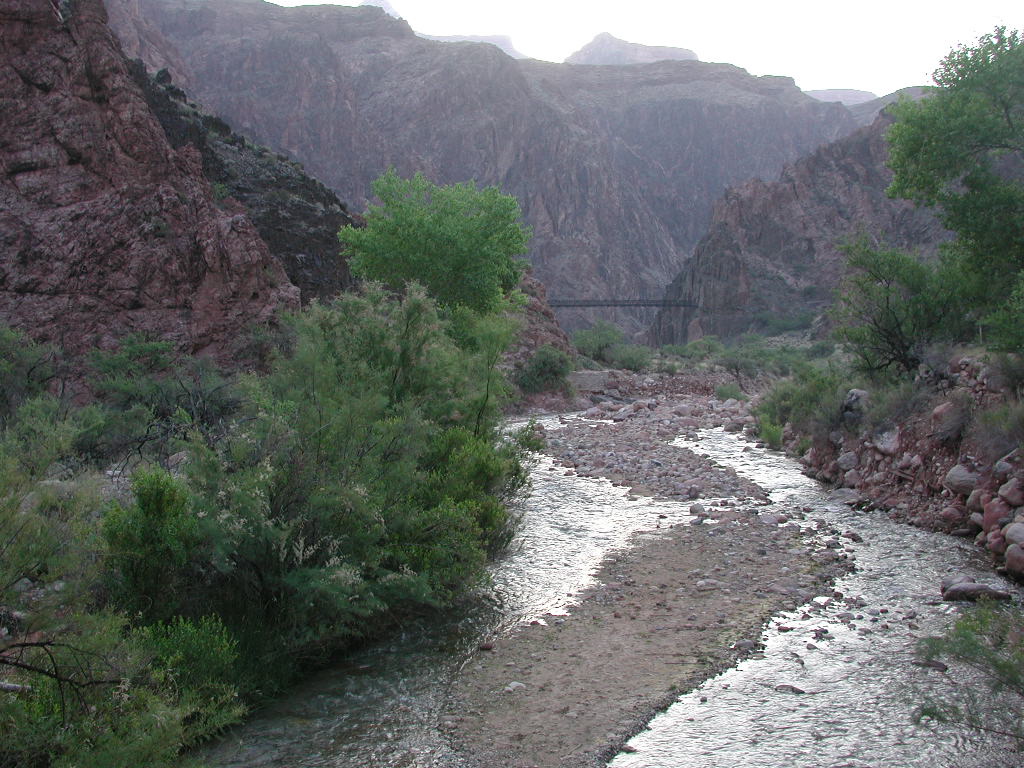 DSCN0284