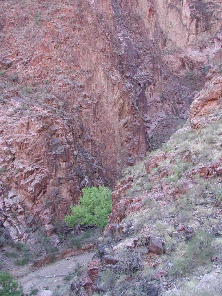 DSCN0312