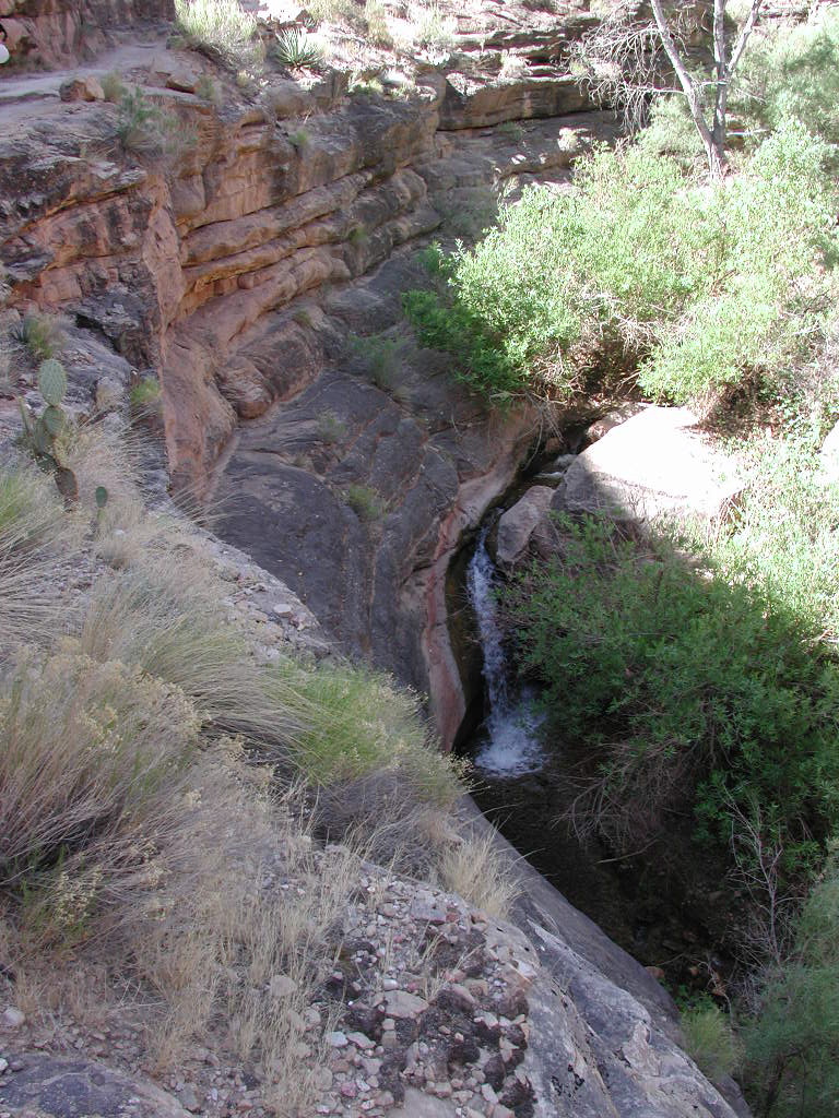 DSCN0335