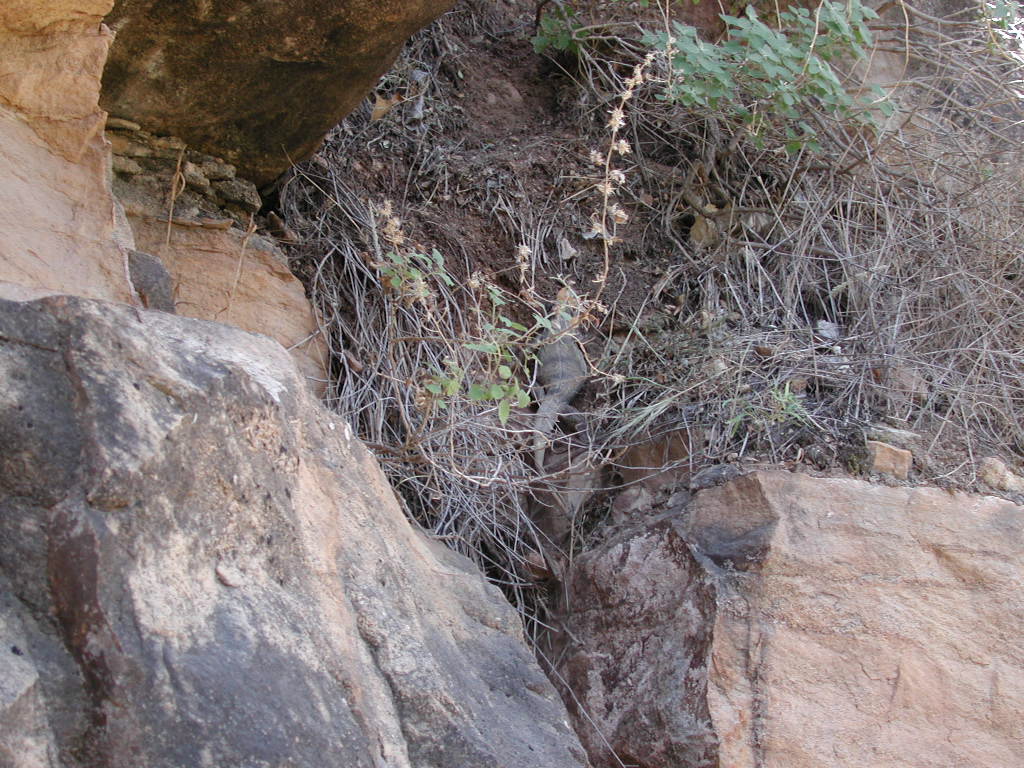 DSCN0336