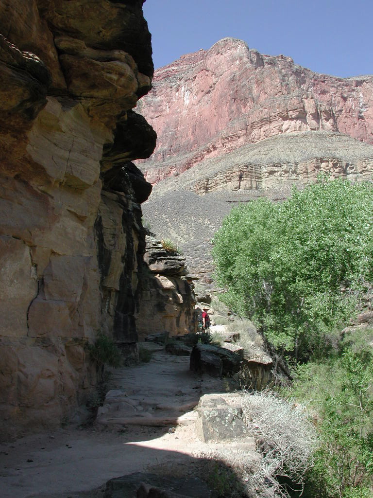 DSCN0338