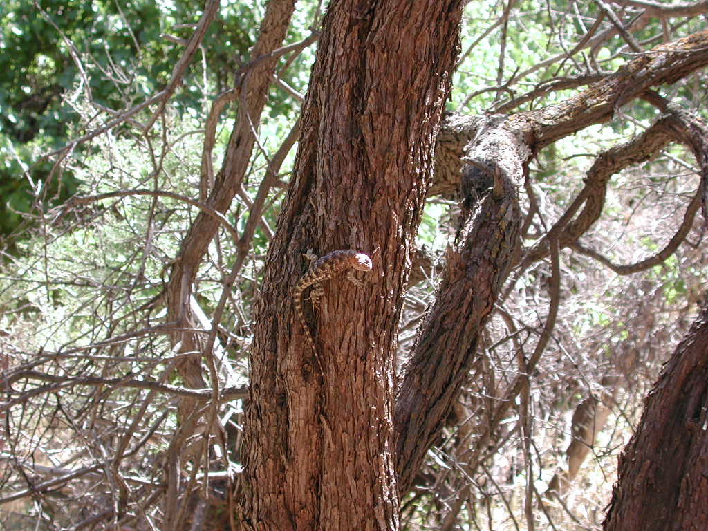 DSCN0344