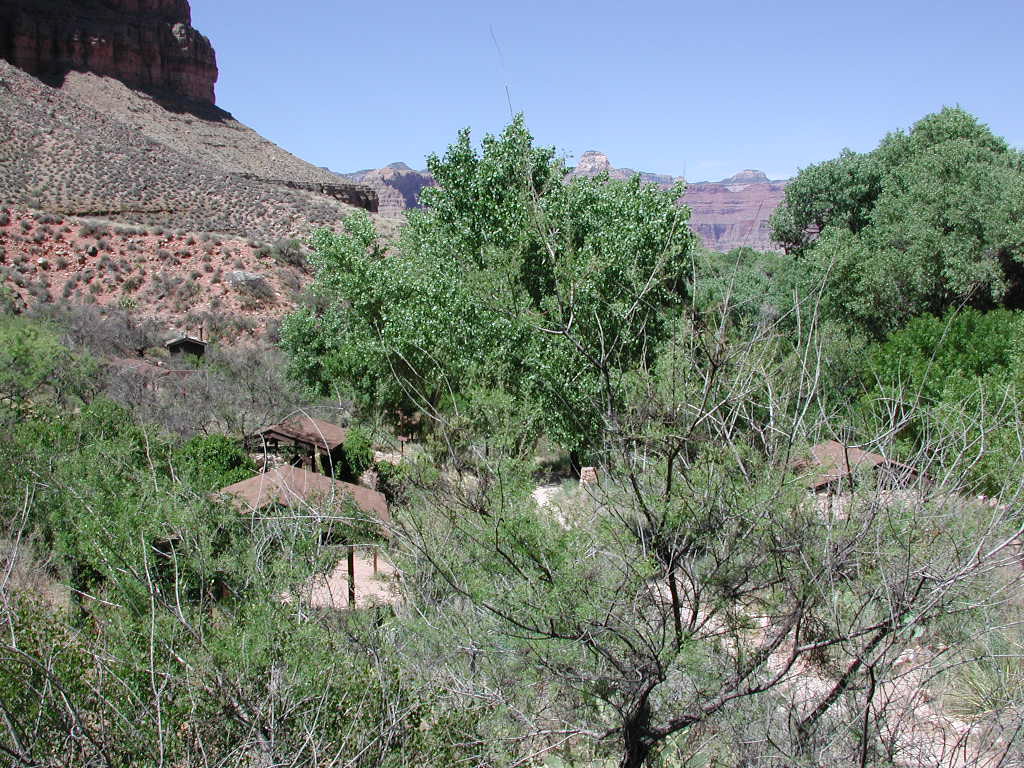 DSCN0347