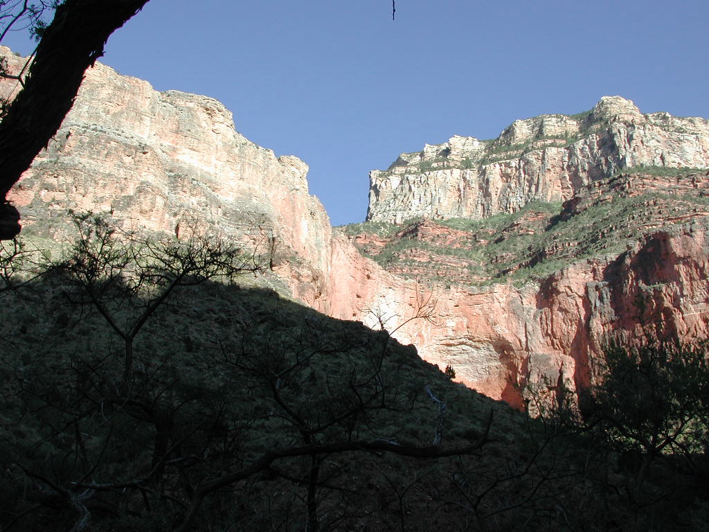 DSCN0361