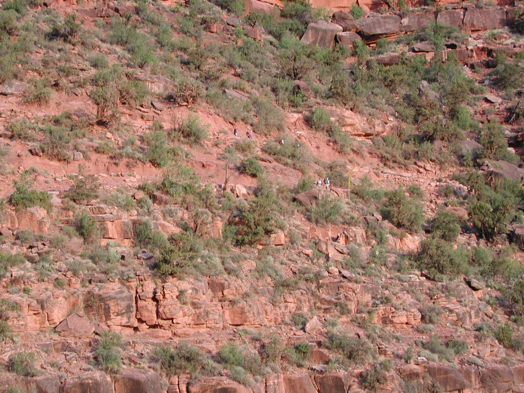DSCN0392